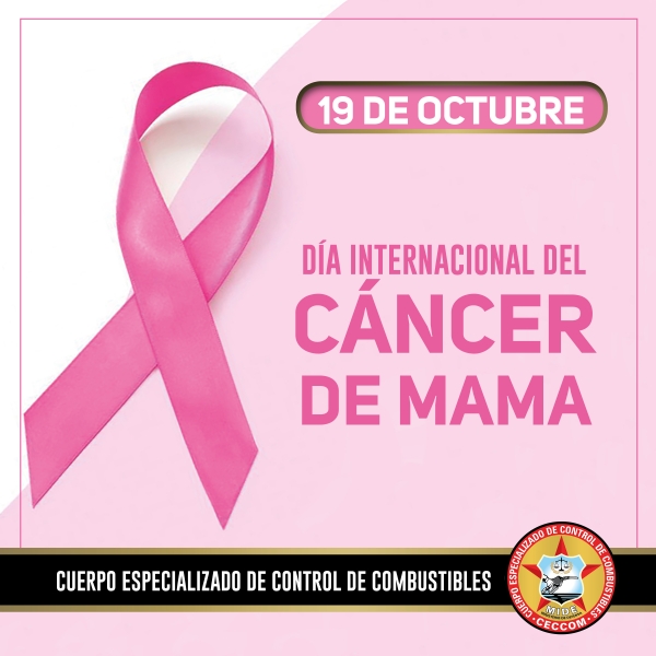 CECCOM realiza charla con motivo del Día Internacional Contra el Cáncer de Mama